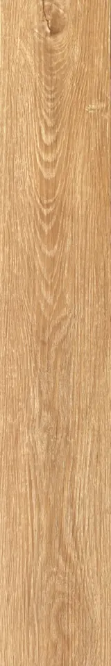 Natural Wood Look LVT Flooring Pattern - PMS3603M915