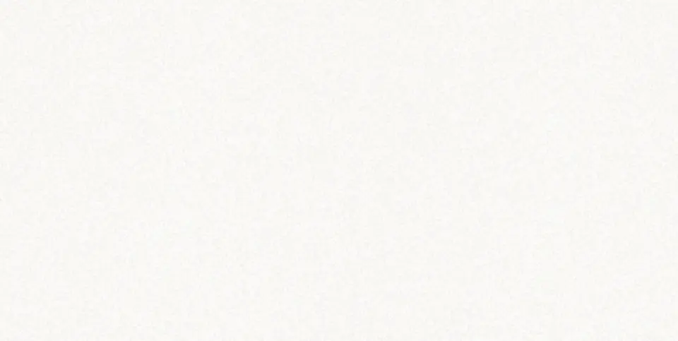 White Stone Look SPC Flooring Pattern - L2119